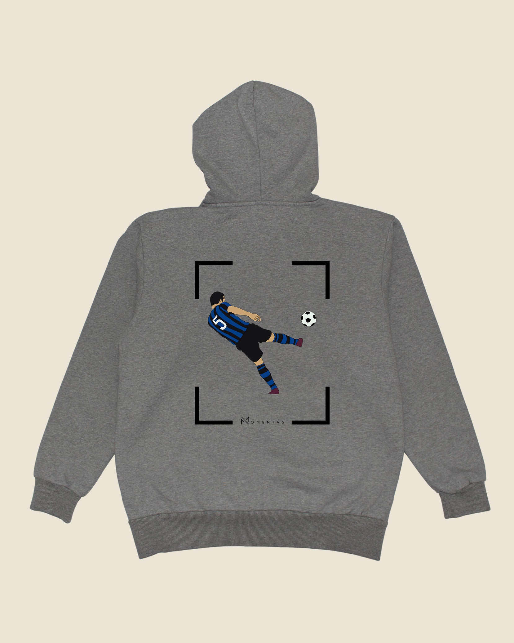 fodboldtrøje dejan stankovic inter, grå hoodie ryg