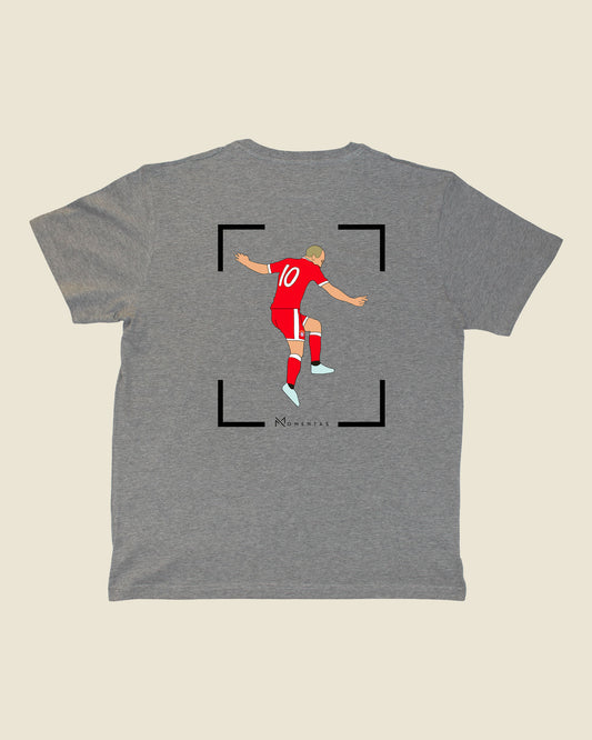 fodboldtrøje arjen robben bayern münchen, grå t-shirt ryg