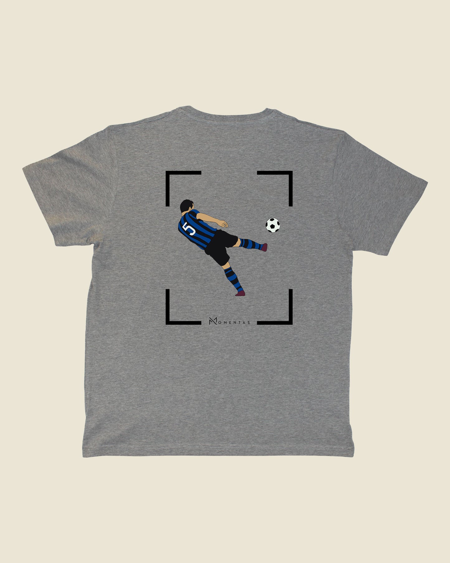 fodboldtrøje dejan stankovic inter, grå t-shirt ryg