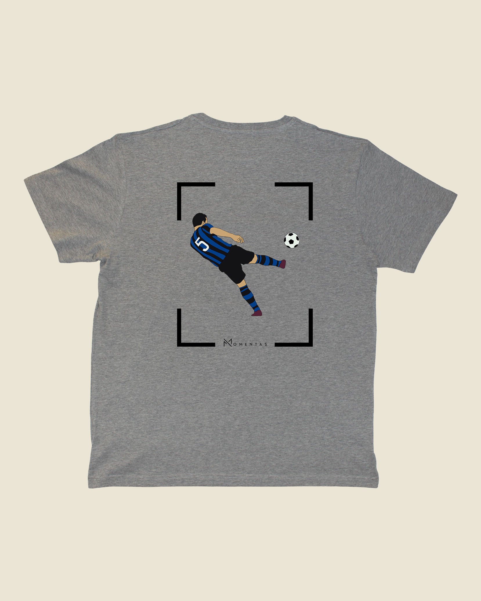 fodboldtrøje dejan stankovic inter, grå t-shirt ryg