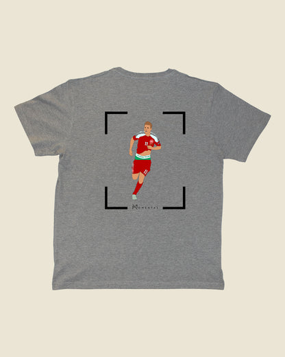 fodboldtrøje nicklas bendtner danmark grå t-shirt ryg